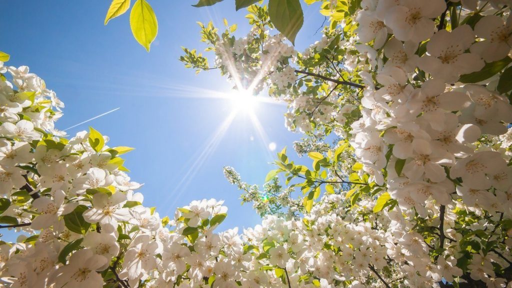 В Запорожье врывается настоящая весна: какой будет погода на этой неделе (ОБЗОР)