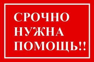В Запорожье два молодых парня нуждаются в помощи после аварии