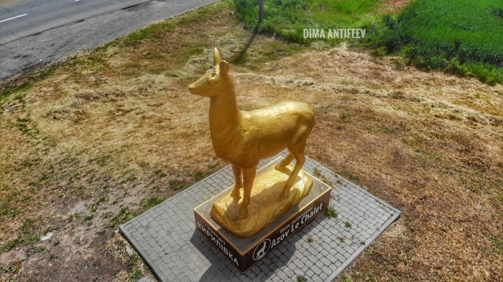 Исчезли рога: кирилловский олень снова пострадал от вандалов (ФОТО, ВИДЕО)