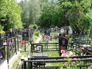 В Запорожской области обнаружили труп прямо на кладбище