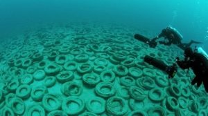 Спасти Азовское море: в Бердянске сбрасывают шины в воду (ФОТО)