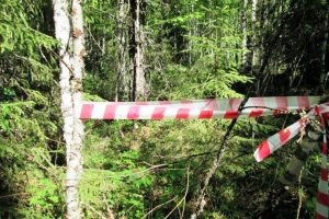 В посадке под Мелитополем обнаружили труп женщины
