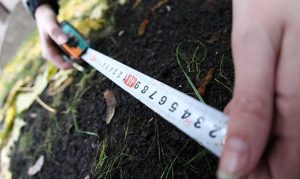 Исполком одобрял земельные махинации Кальцева на Великом Лугу
