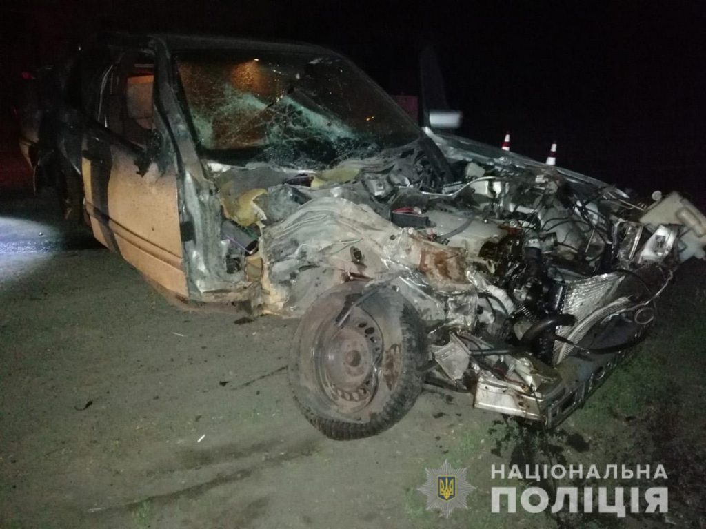 ДТП в Запорожской области: мужчина умер на месте (ФОТО)