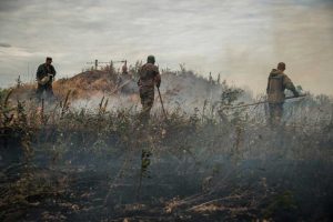 Зону ООС охватило пламя: не исключают диверсию (ФОТО)