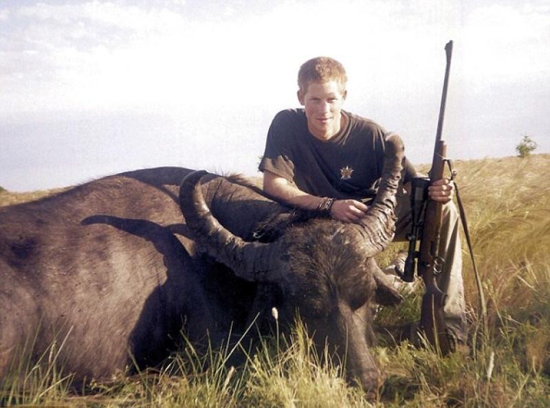 Принц Гарри