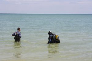 Ученых удивила находка на дне Азовского моря