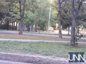 В запорожском парке обнаружили труп мужчины: в сети появились фото