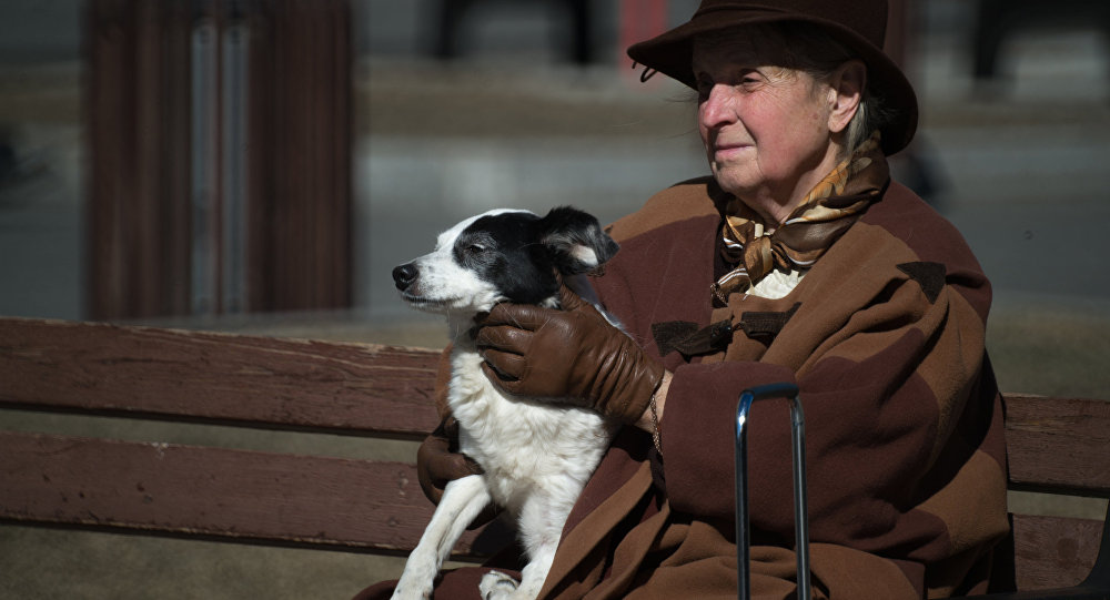 В Запорожье вежливый пёс помог бабушке донести покупки до дома (ВИДЕО)