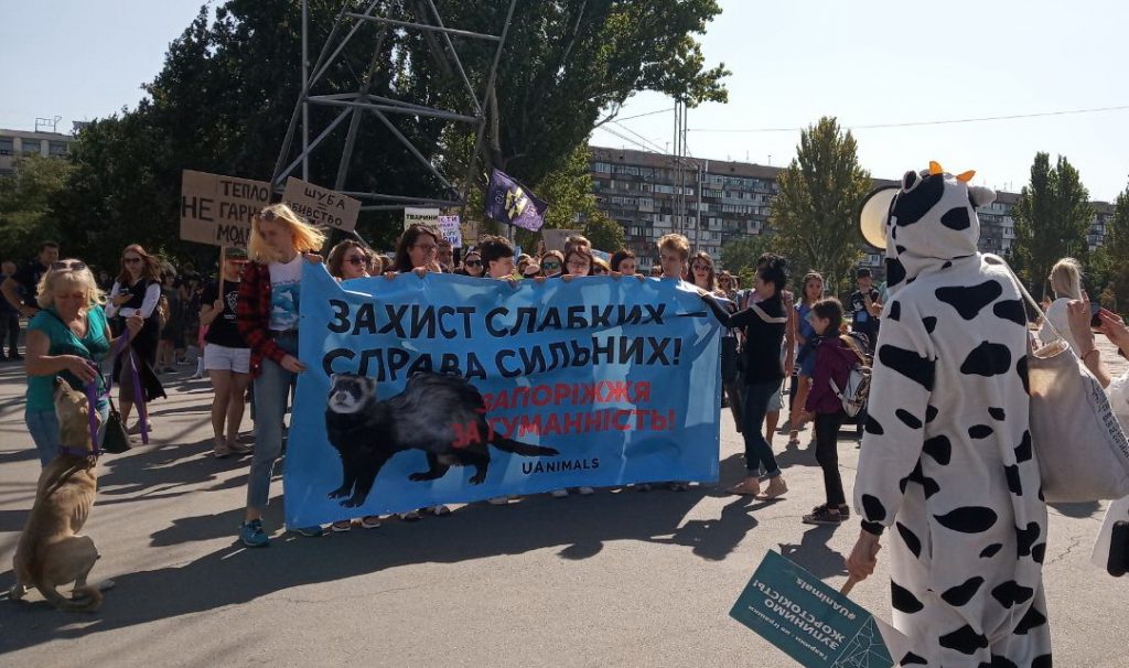 Запорожцы вместе со своими питомцами присоединились к всеукраинскому маршу
