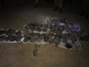 Камбалы на 120 тысяч: в Запорожской области поймали браконьера (ФОТО)