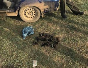 Браконьер с капканами “попался” в зоне заповедника Запорожской области (ФОТО)