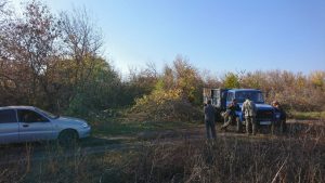 Под каолиновый карьер вблизи Запорожья вырубили 71 дерево: документы не предъявили (ФОТО)
