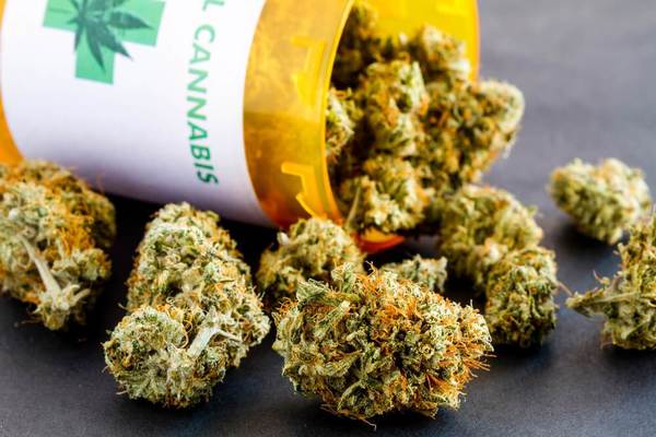 «Слуга народа» инициирует легализацию медицинской марихуаны: готов проект