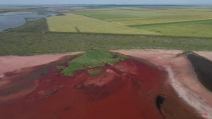 У Ахметова не считают красную воду в Азовском море экологической катастрофой