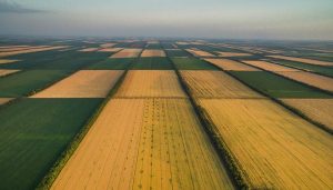 Почему украинцы не смогут заработать на продаже земли, – мнение