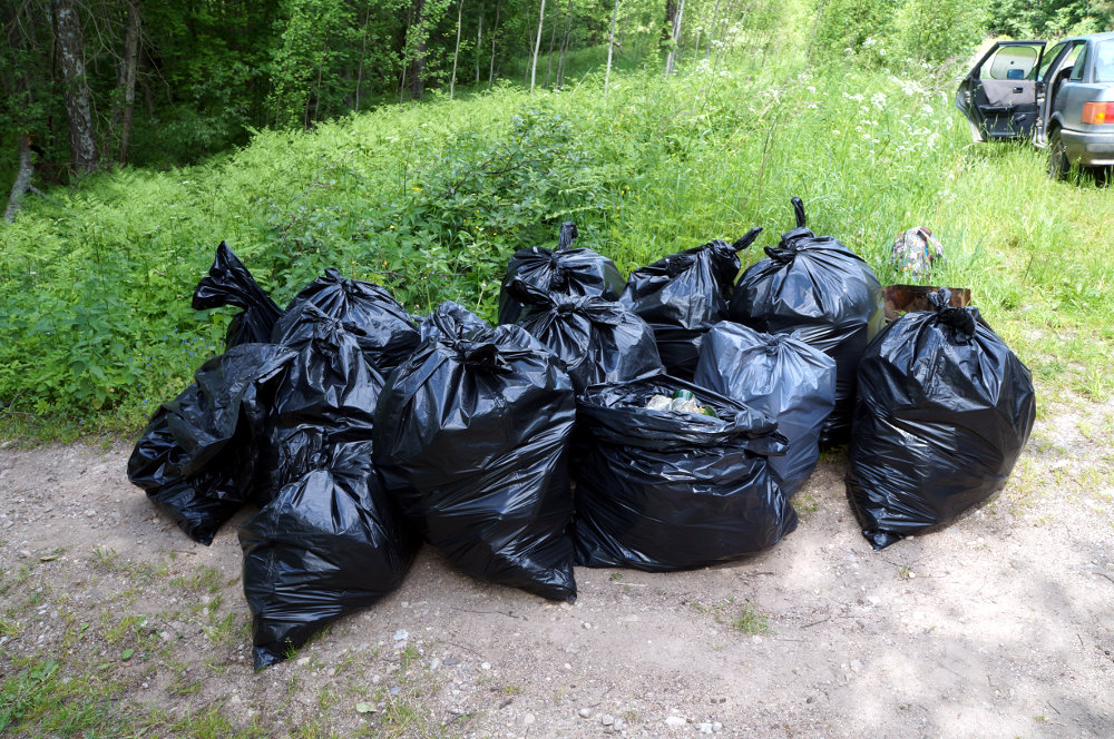 «Печалька»: в Запорожье коммунальщики не убирают мусор, собранный активистами (ВИДЕО)