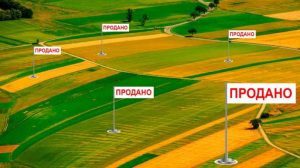 Земельная реформа в Украине: как голосовали нардепы Запорожской области