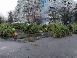 В Запорожской области придумали, как с пользой применить непроданные ёлки (ФОТО)