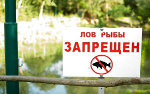 Нерест: ограничения для рыбаков на водоемах Запорожской области в датах