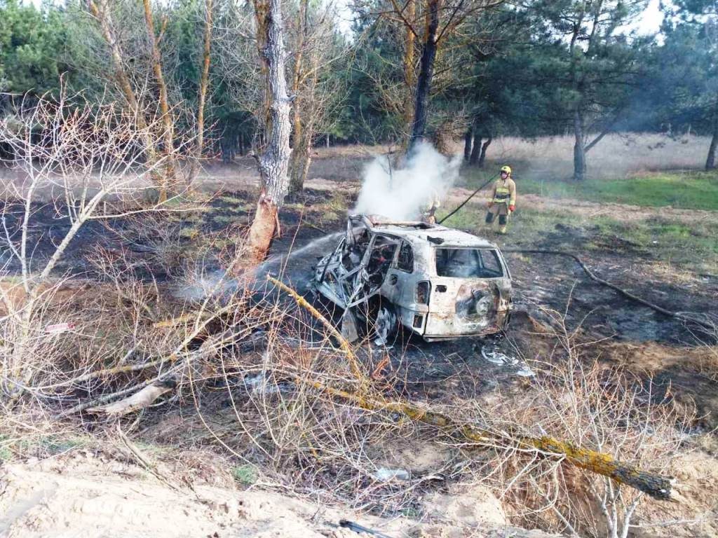 Авто сгорело на обочине: жители Запорожья попали в смертельное ДТП (ФОТО)