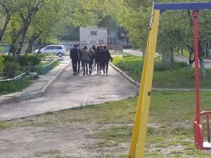 Кабмин представил 5 этапов выхода из карантина (ИНФОГРАФИКА)