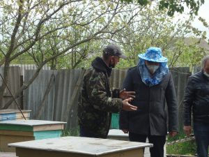 Массовая гибель пчел в Запорожской области: делом занялась полиция (ФОТО)