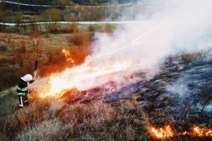 Рада “за” поднятие штрафов за поджог травы: платить нужно будет в 18 раз больше