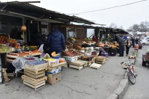 Фермерша рассказала, почему огурцы стоят так дорого