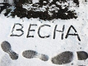 24 мая в Украине выпал снег (ФОТО)