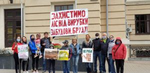 Буряк отреагировал на незаконную вырубку деревьев на Песках