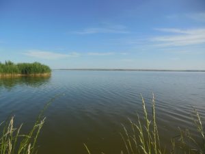 В Запорожской области государству вернули земельные участки стоимостью 627 млн ​​гривен