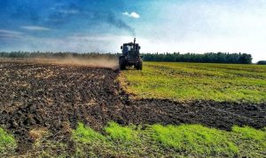 В Украине появился новый праздник