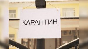 Мероприятия в условиях карантина