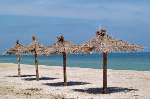На каких пляжах в Украине самая чистая морская вода — исследования МОЗ