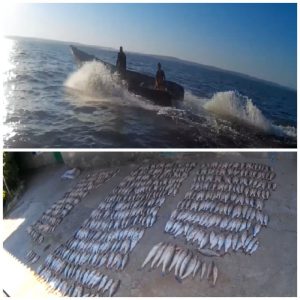 В запорожской заповедной зоне браконьеры на лодке удирали от журналиста, выбрасывая сети (ВИДЕО)