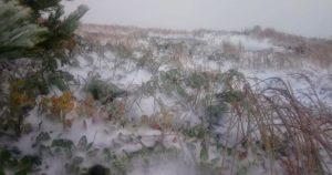 В Украине выпал первый снег: впечатляющие фото, видео