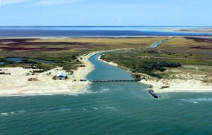 Молочный лиман кишит рыбой: малек массово выпрыгивает из воды у берега (ФОТО)