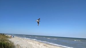 Бархатный сезон на запорожских курортах: холодно ли купаться в море и на Днепре