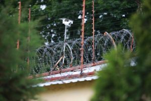 В Украине впервые назначили реальный тюремный срок за подделку COVID-сертификата