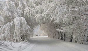 Несколько областей Украины засыпало снегом: в сети опубликовали фото