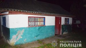 Воспитывала кулаками: задержали молодую мать, которая убила своего 5-летнего сына под Винницей