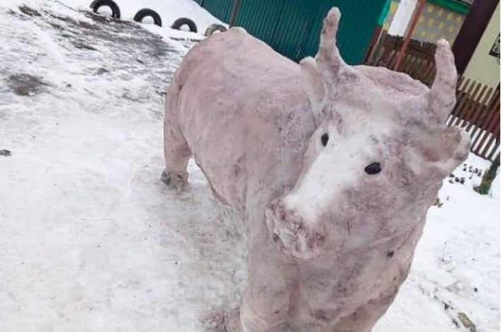 Русалка, кот и даже бык: подборка самых необычных снеговиков украинцев (ФОТО)