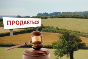 В Украине назвали стоимость земли на публичных аукционах