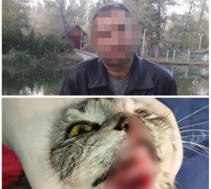 В Запорожской области вычислили живодера, который забирал домой множество животных (ФОТО)