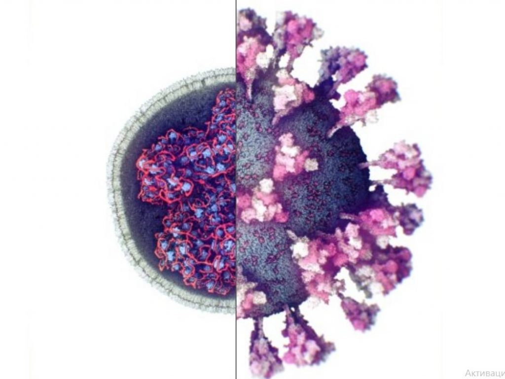 Ученые впервые сделали 3D-снимок коронавируса (ФОТО, ВИДЕО)