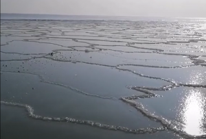 В Кирилловке море стало похожим на “лоскутное одеяло” (ВИДЕО)