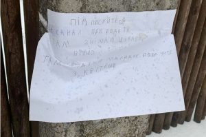 Девочка в селе повесила на столбе объявление с рекламой своего YouTube-канала. Теперь у него более 20 тыс. подписчиков (ФОТО)