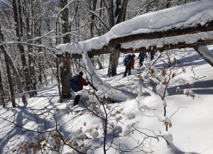 8 дней поисков: в Карпатах до сих пор не могут найти туриста (ФОТО)