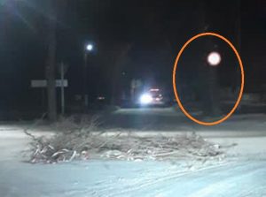 В Запорожской области повесили дорожный знак на дерево и штрафуют водителей (ФОТО)